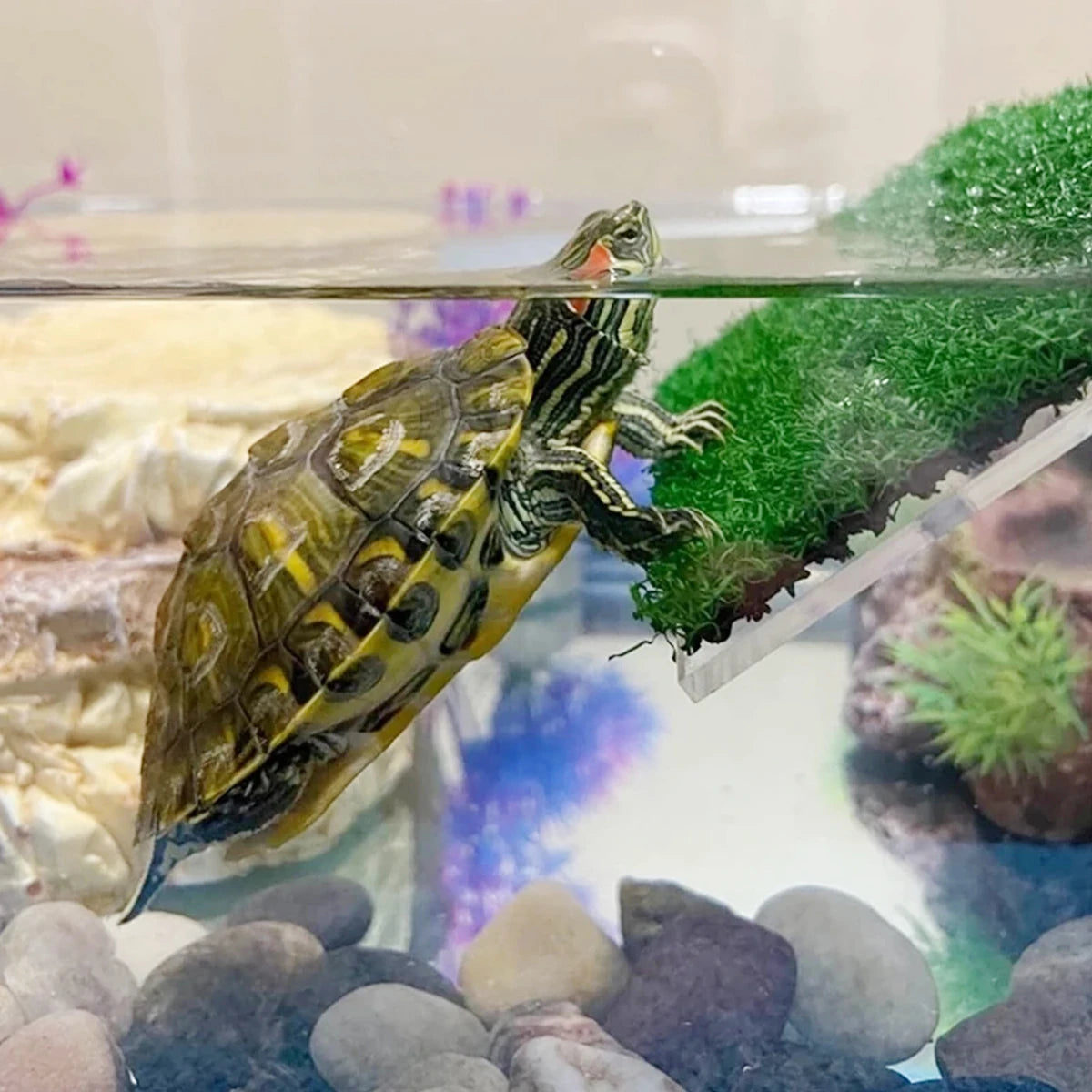 Fish Tank Lawn Turtle Basking Platform Turtle Climbing Platform with Suction Cup Simulation Turf Turtle Ramp Ladder for Aquarium