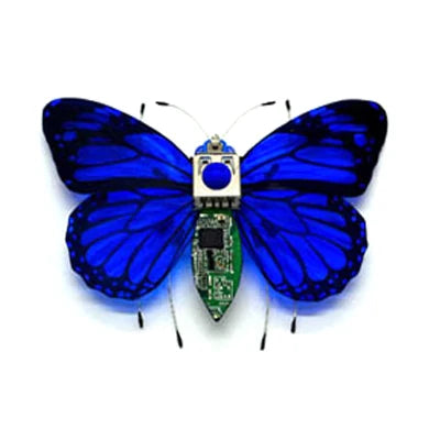 Robotic Insects