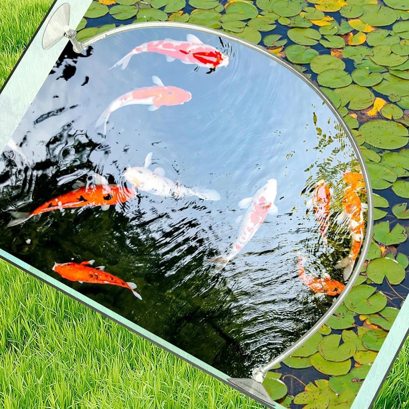 Fish Tank Floating Plant Interceptor Organize and Separate Different Plants Fence for Home Aquarium Decor