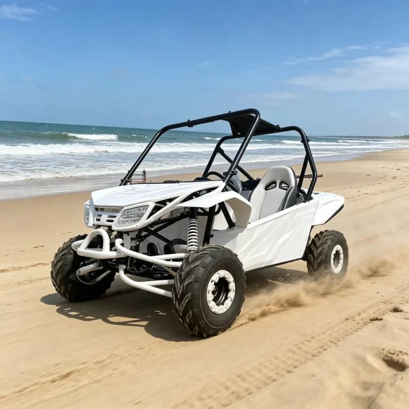 Sport Beach Buggy 200cc 4x4 Off Road Go Kart With High Performance Suspension For Sand Dune Racing For Speed