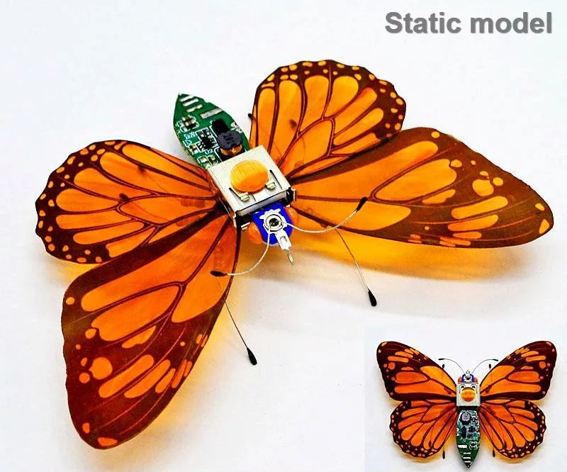 Robotic Insects