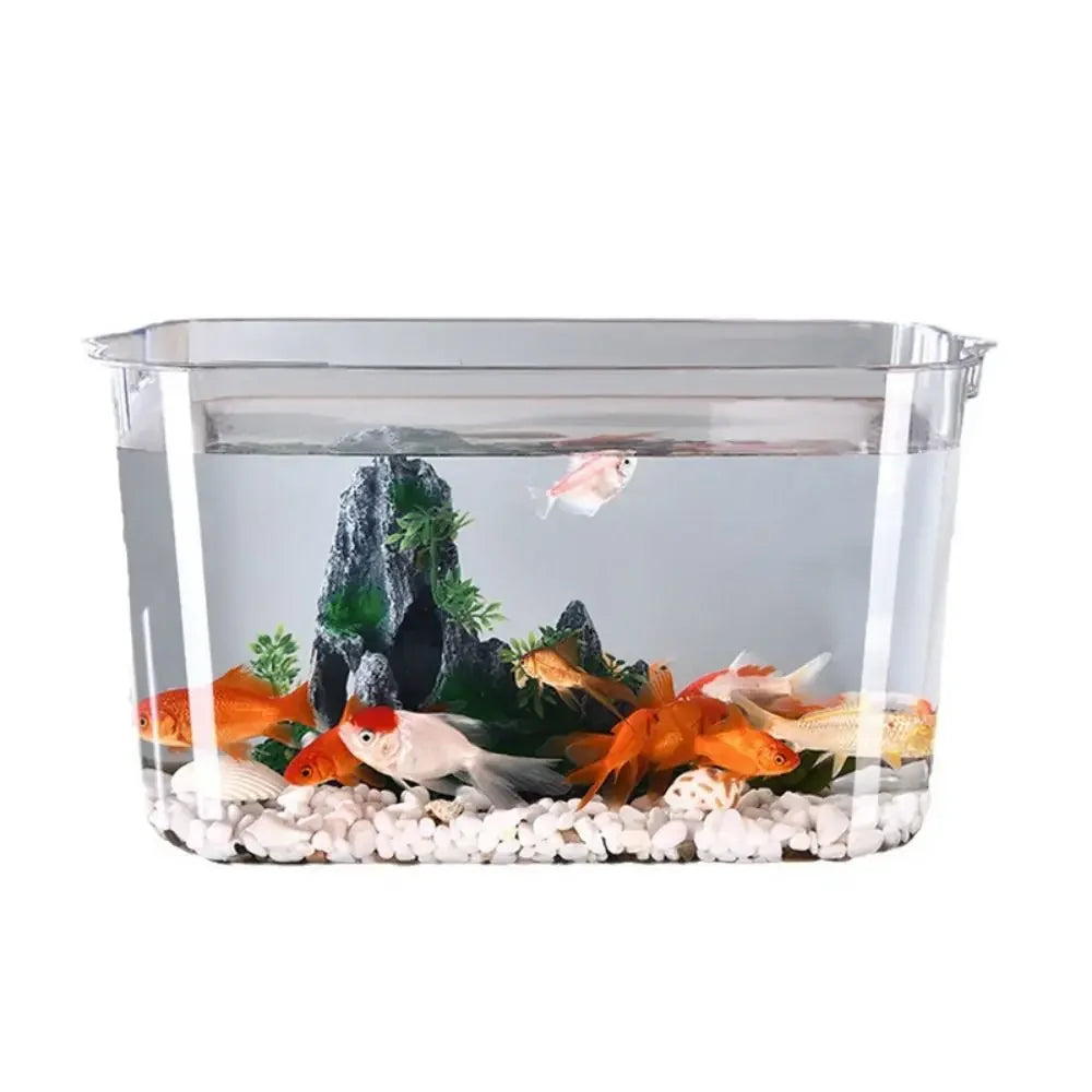 Fall Prevention Explosion-proof Plastic Fish Tank PET Transparent Tabletop Fish Tank Small Ecological Water Tank
