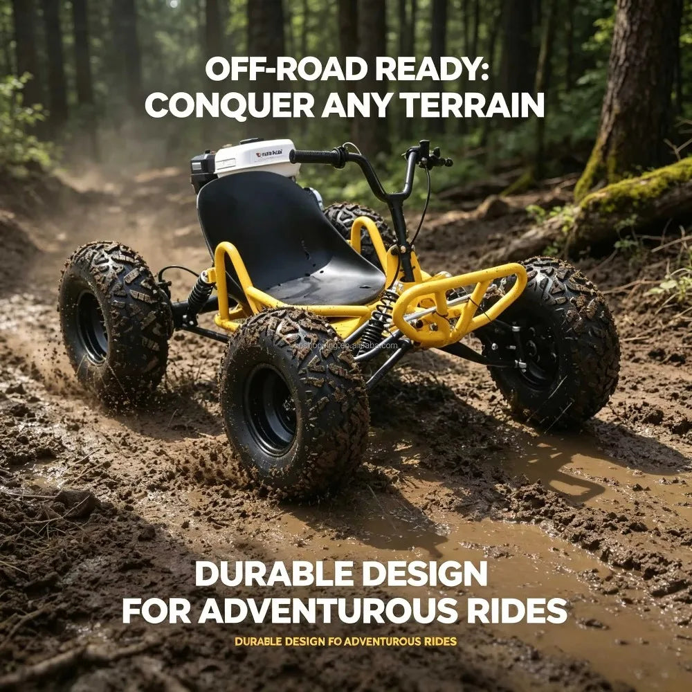 Adult Off-Road Go Kart 4-Stroke 212cc Gas Engine Chain Drive 180kg Load Drift Beach High-Speed Buggy for Outdoor Adventure