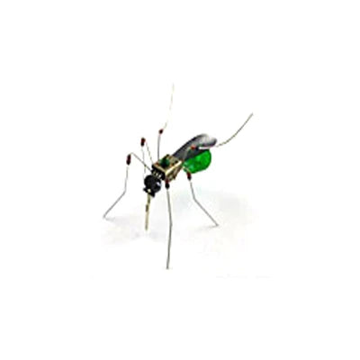Robotic Insects