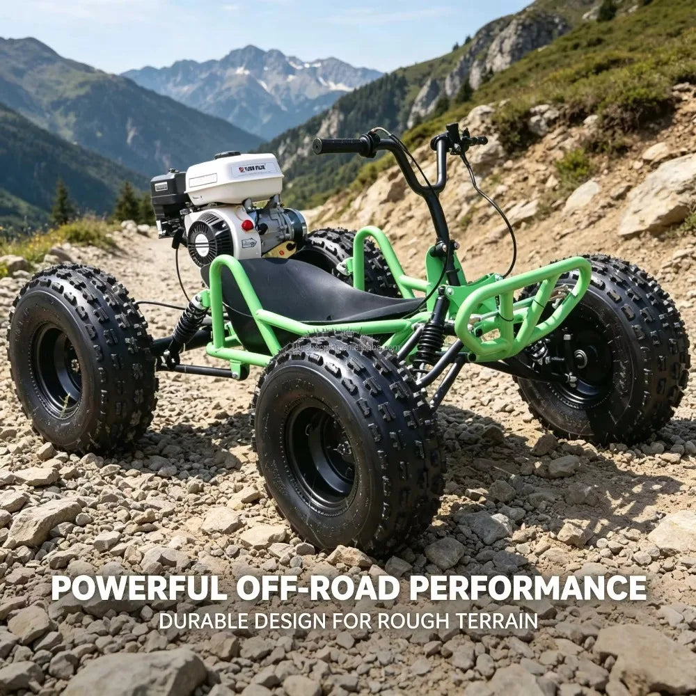 Adult Off-Road Go Kart 4-Stroke 212cc Gas Engine Chain Drive 180kg Load Drift Beach High-Speed Buggy for Outdoor Adventure