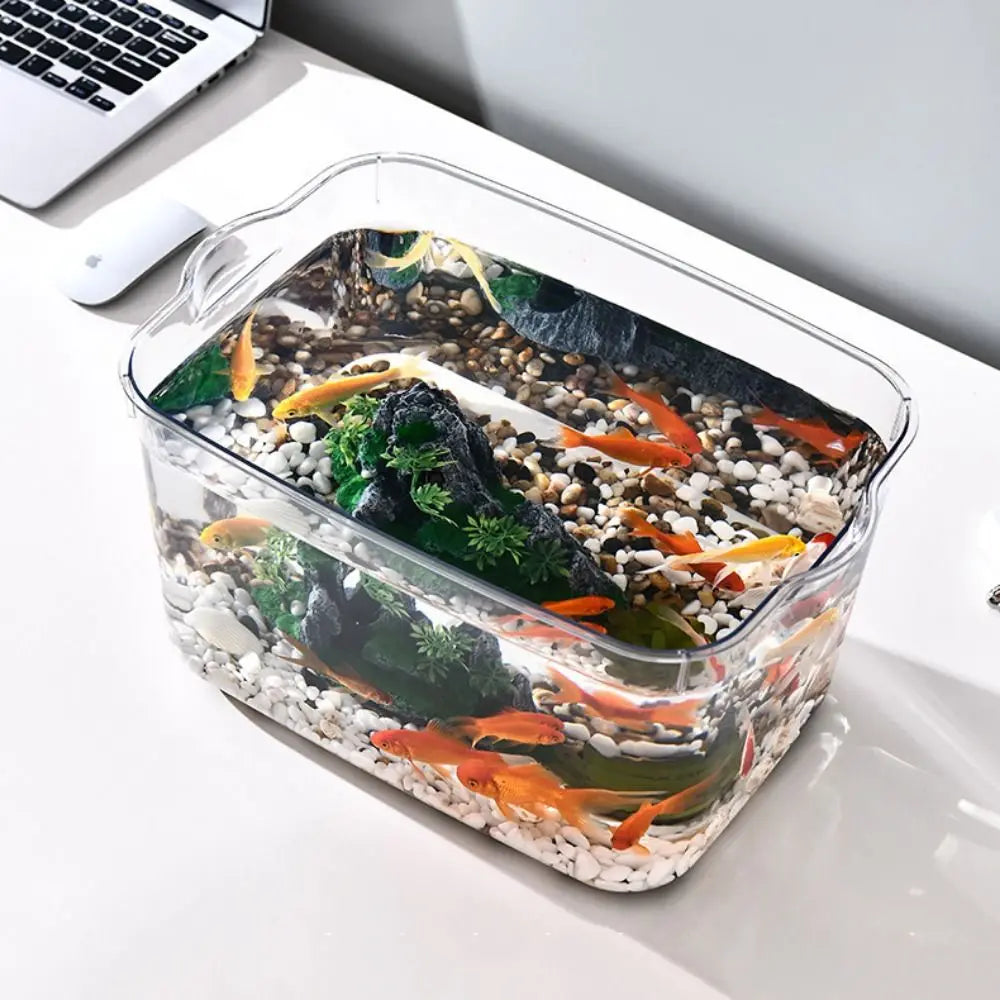 Fall Prevention Explosion-proof Plastic Fish Tank PET Transparent Tabletop Fish Tank Small Ecological Water Tank