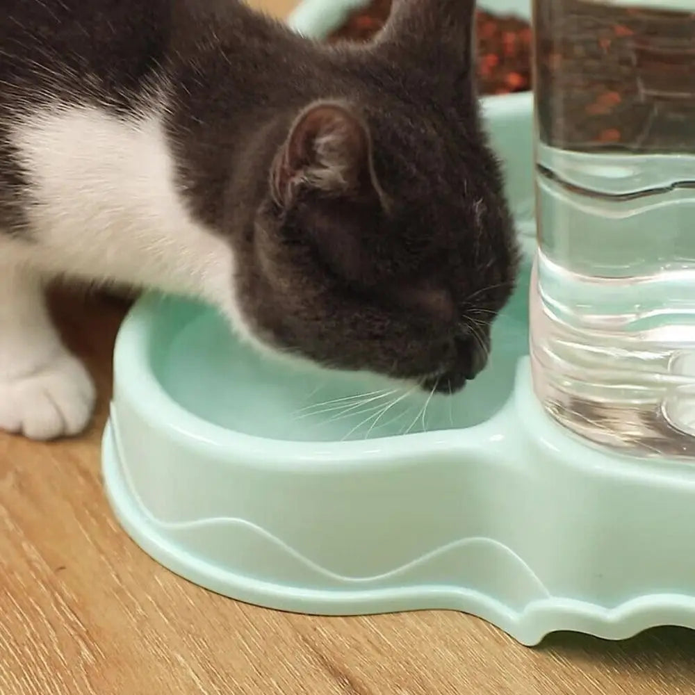 Keep your pets happy and hydrated with this automatic pet feeder and water fountain combo—fresh food and water anytime!