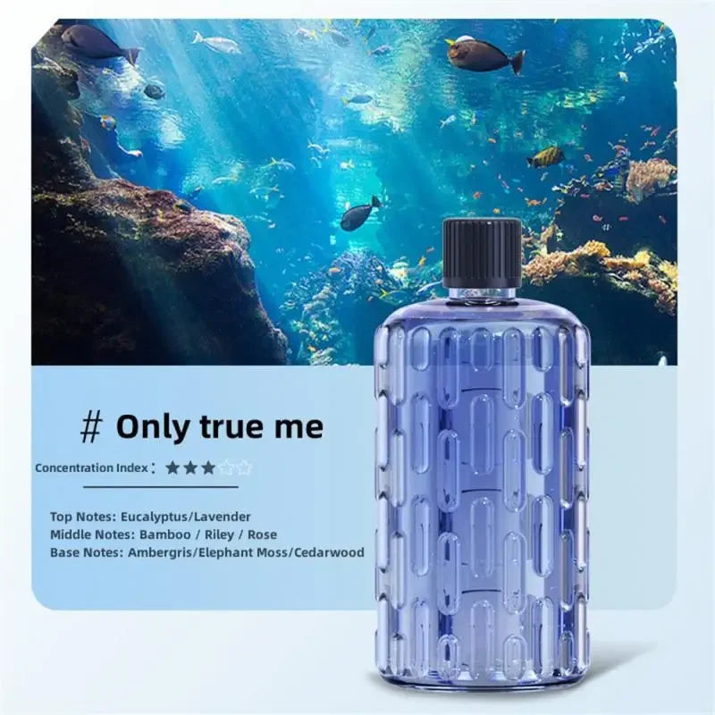 Essential Oil Aromatherapy Machine