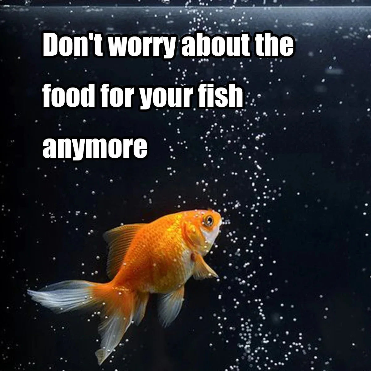 2025 Automatic Fish Feeder 100ml -Digital Programmable Aquarium Food Dispenser with Timer, IP66 Waterproof for Pond/Turtle Tanks